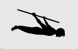 CALISTHENICS LEVEL 1-2
