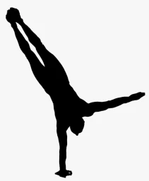 HANDSTANDS  (LEVEL 2-3)