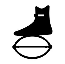 KANGOO JUMPS