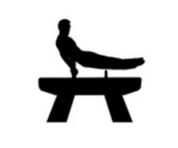 GYMNASTICS  (LEVEL 2-3)