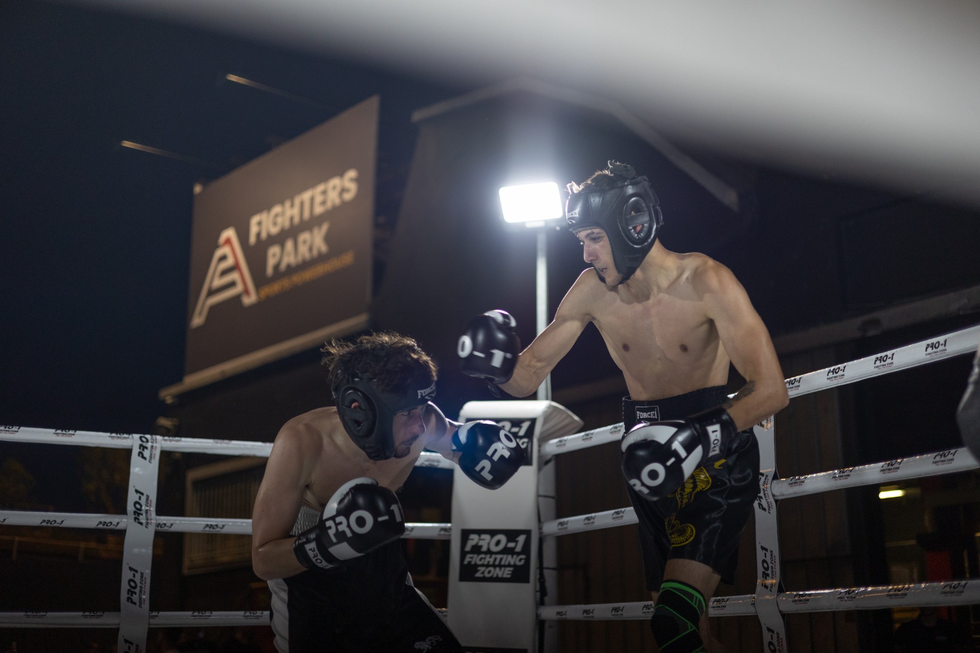 champions-night-82-a-history-of-championships-produced-by-fighters-athanasopoulos-bjmah1gQ.jpg